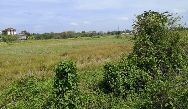 tanah ayer hangat langkawi untuk dijual